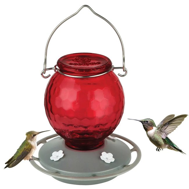 EcoCycle™ Crimson Comb Recycled Glass Hummingbird Feeder