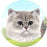 Persian Cat Car Coaster