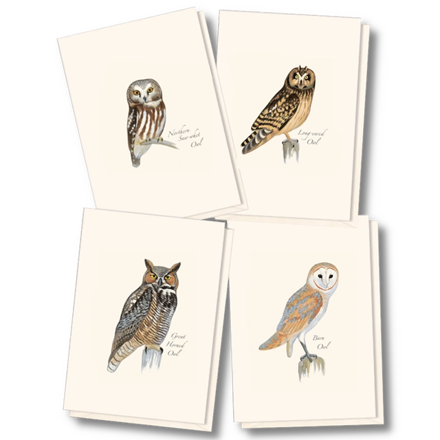 8-Piece Notecard Set: Sibley Owl Assortment
