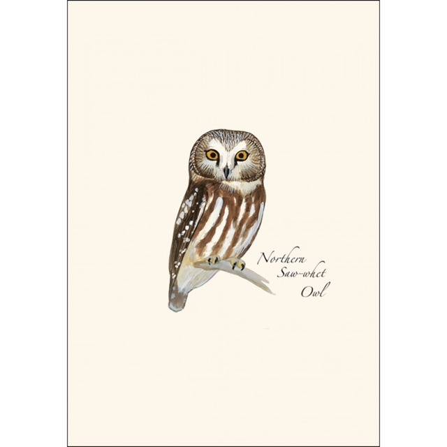 8-Piece Notecard Set: Sibley Owl Assortment