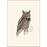 8-Piece Notecard Set: Sibley Owl Assortment