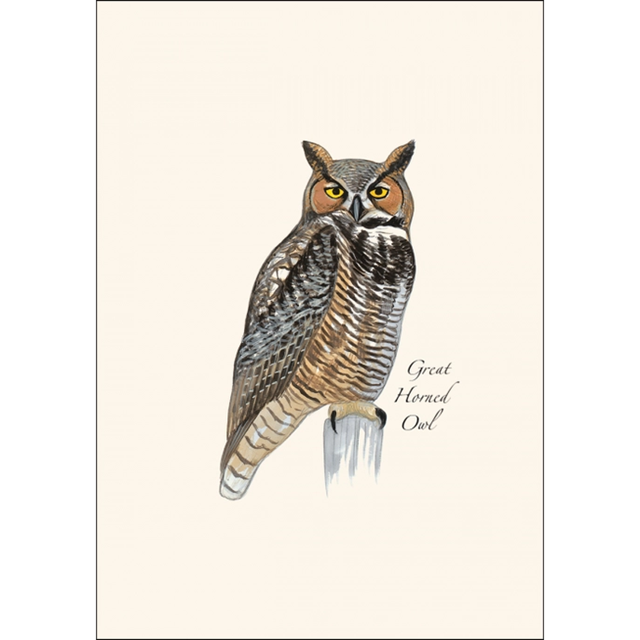 8-Piece Notecard Set: Sibley Owl Assortment