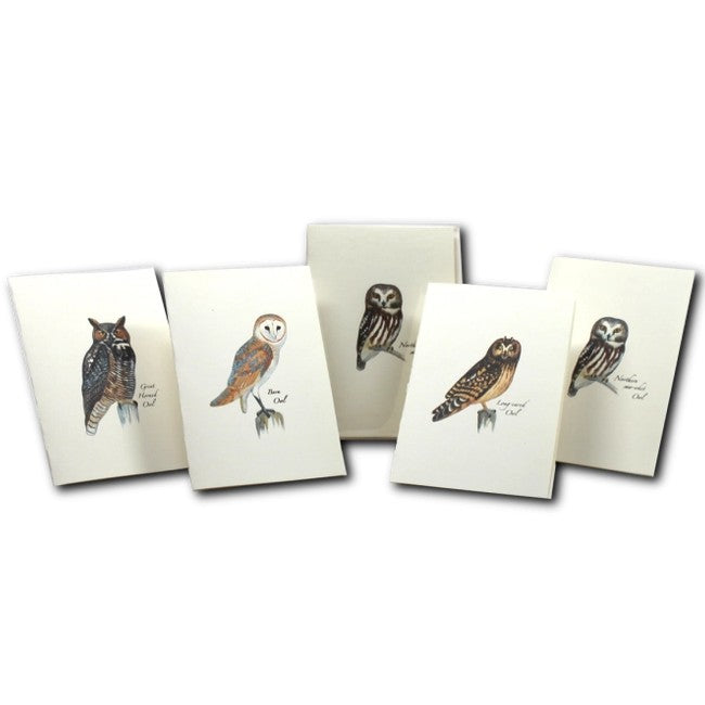 8-Piece Notecard Set: Sibley Owl Assortment