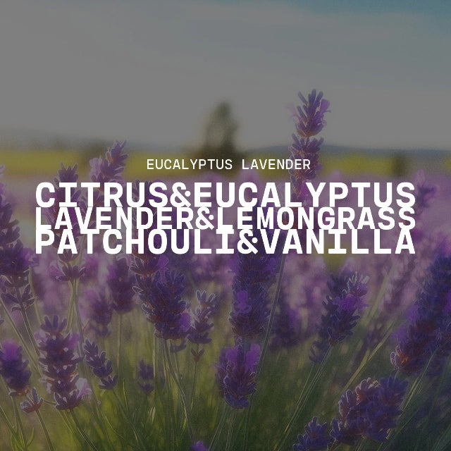Milkhouse Creamery Collection Soy Candle: Eucalyptus Lavender 16-oz. Butter Jar