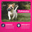 Eukanuba Adult Small Bites Dry Dog Food 15 lb