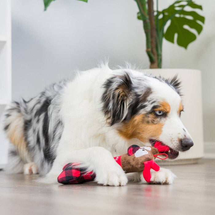 Rudy the Reindeer Bone Dog Toy