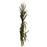 Decorative Cornstalk Bundle