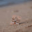 K'lani "Paws" Natural Hues with Silver & Paw Accents Hair Tie Bracelet