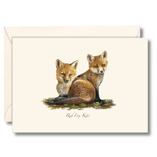 8-Piece Notecard Set: Red Fox Kits