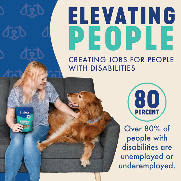 Finley's Blueberry & Coconut Crunchy Biscuits Dog Treats 12 oz.