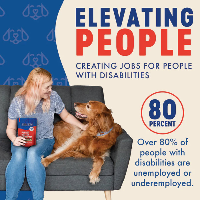 Finley's Peanut Butter & Pumpkin Crunchy Biscuits Dog Treats 12 oz.