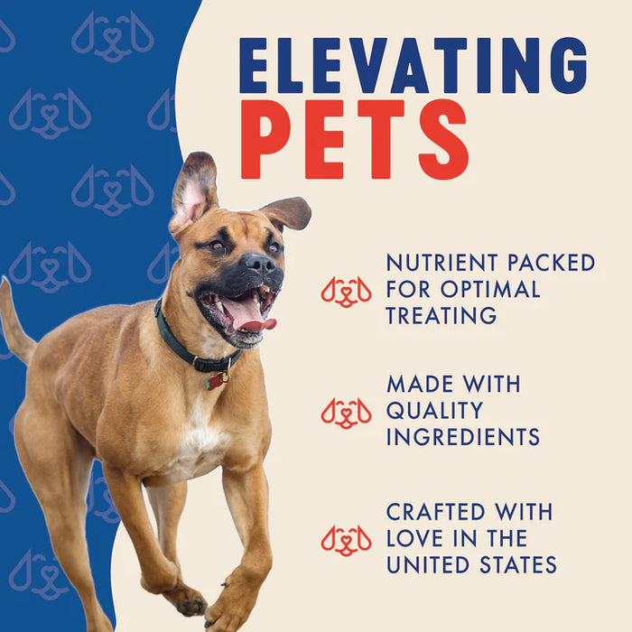 Finley's Peanut Butter & Pumpkin Crunchy Biscuits Dog Treats 12 oz.