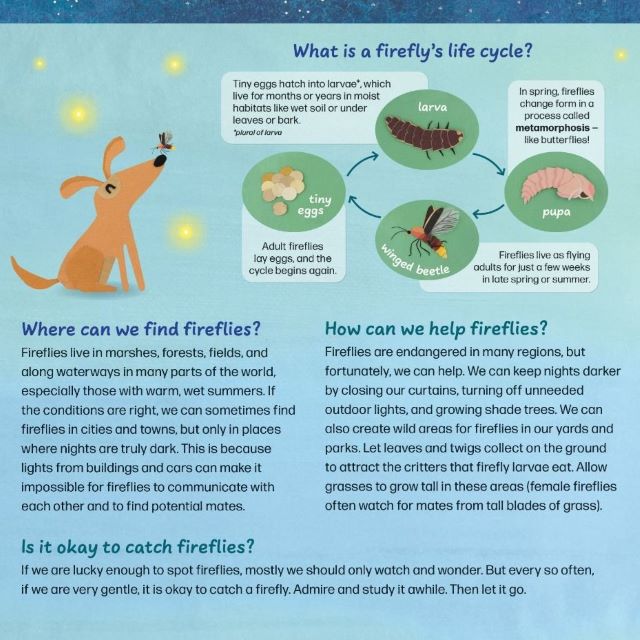 Firefly Galaxy Hardcover Book