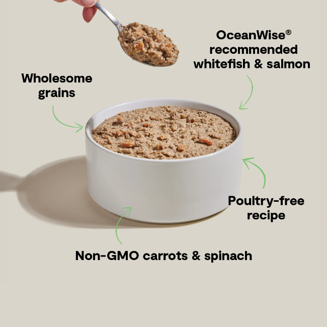 Open Farm Goodbowl™ Wild-Caught Whitefish & Salmon Pâté for Dogs 12.5-oz Can