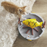 PetPals Grilled Fish Interactive Cat Treat Toy