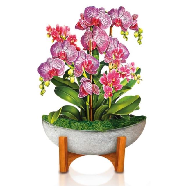 FreshCut Paper Pop Up Mini Orchid Oasis 3D Greeting Card