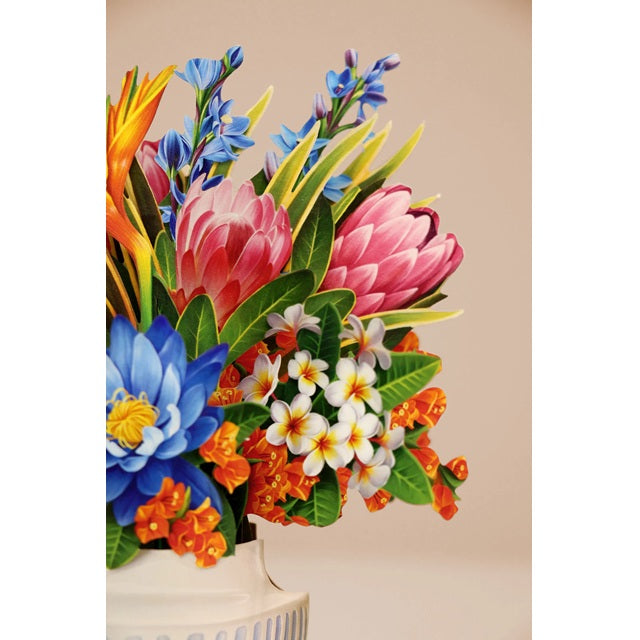 Mini Tropical Paradise (10 Pop-up Greeting Cards)