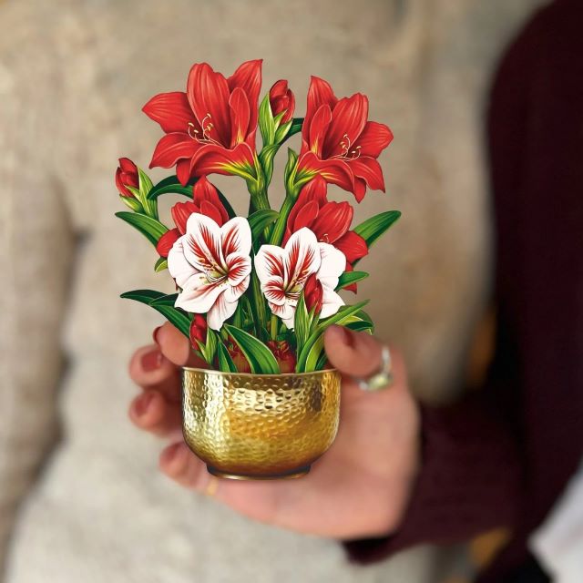 FreshCut Paper Pop Up Mini Christmas Scarlet Amaryllis 3D Greeting Card