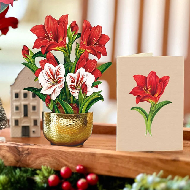 FreshCut Paper Pop Up Mini Christmas Scarlet Amaryllis 3D Greeting Card