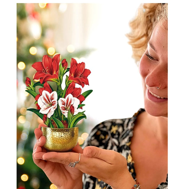 FreshCut Paper Pop Up Mini Christmas Scarlet Amaryllis 3D Greeting Card