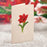 FreshCut Paper Pop Up Mini Christmas Scarlet Amaryllis 3D Greeting Card