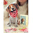 FreshCut Paper Beagle Pop-Up 3D Greeting Card
