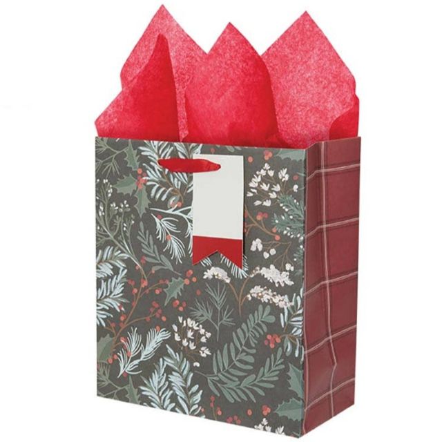 Frosted Kiss Medium Gift Bag