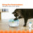 Catstages Meow-smerizing Fish Bowl Cat Toy