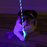 Quirky Kitty Glowing Forest Firefly Wand Cat Toy with Catnip