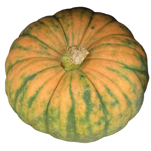"Gourmet" Pumpkin - Assorted Varieties