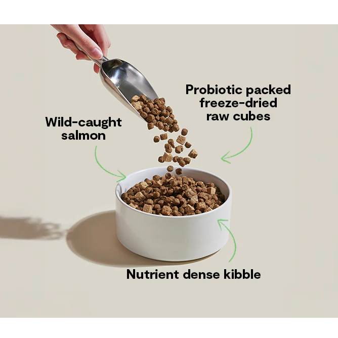 Open Farm GoodGut Wild Caught Salmon Dog Kibble