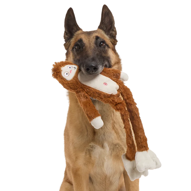 Bark Bark Hairy Henderson Plush Dog Toy