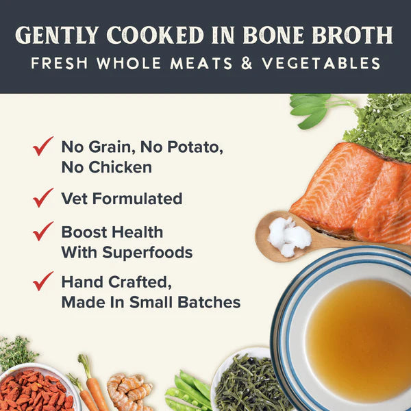 Health Extension Gently Cooked Grain Free Salmon Recipe Dog Food