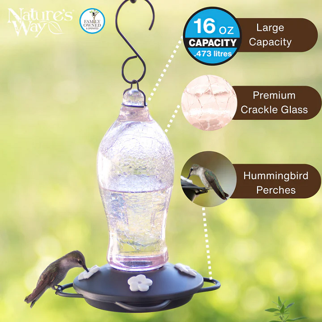 Nature's Way Blush Crackle Artisan Glass Gravity Hummingbird Feeder