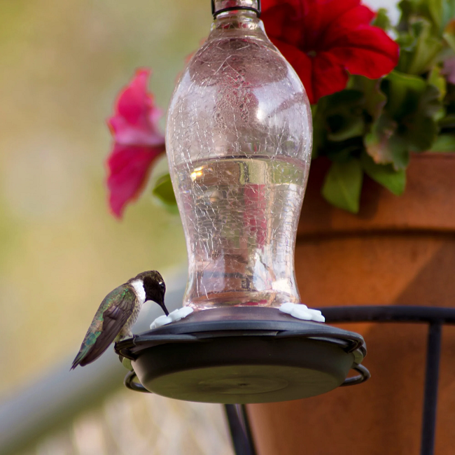 Nature's Way Blush Crackle Artisan Glass Gravity Hummingbird Feeder