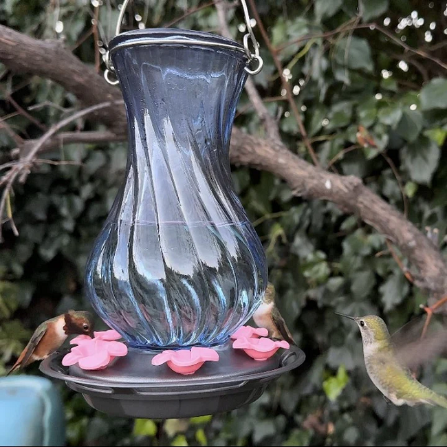 Nature's Way Perfect Pitcher Antique Glass Gravity Hummingbird Feeder