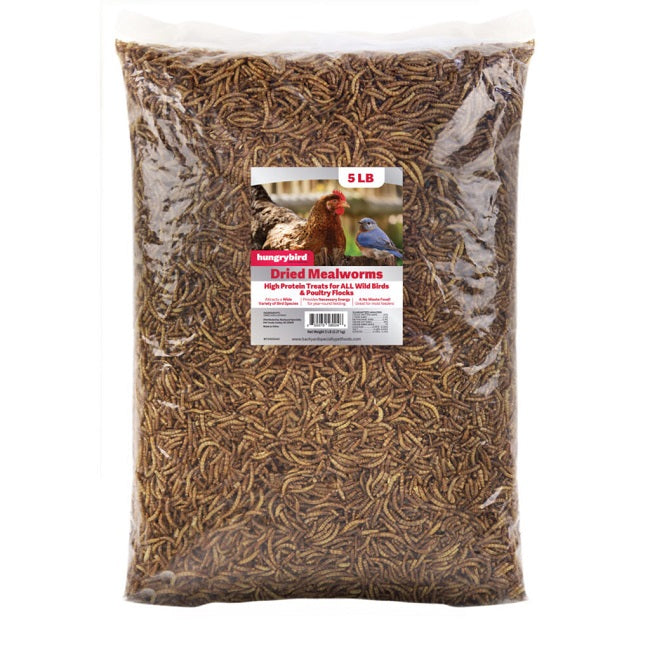Hungrybird Dried Mealworms