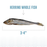 Icelandic+ Herring Whole Fish Dog Treats 3 oz – Wild-Caught, Single-Ingredient, Crunchy Goodness