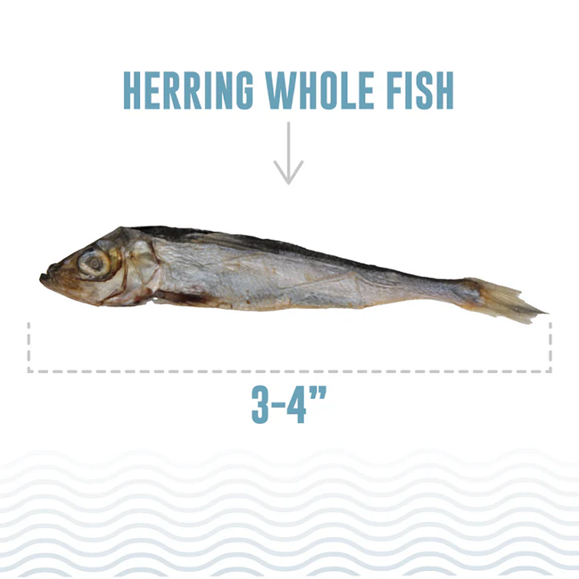 Icelandic+ Herring Whole Fish Dog Treats 3 oz – Wild-Caught, Single-Ingredient, Crunchy Goodness