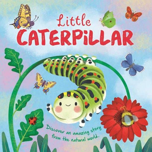 Nature Stories: Little Caterpillar Padded Board Book
