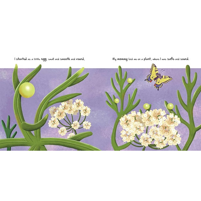 Nature Stories: Little Caterpillar Padded Board Book