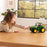 John Deere Kids 12 inch Tractor with Lights and Sounds