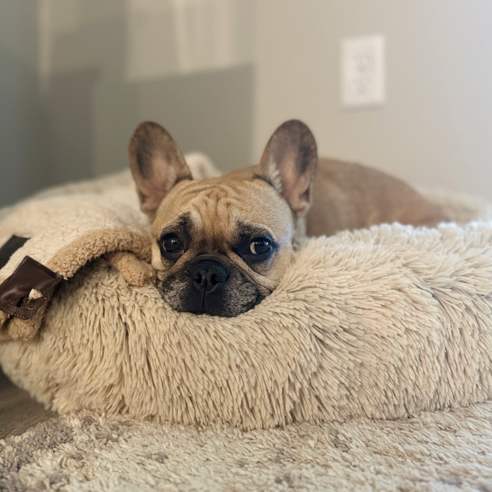 Dream Chaser Cuddle Donut Pet Bed, Khaki