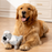 Tall Tails Koala Bear Dog Toy