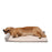 Orthopedic Lounger Dog Bed, Khaki