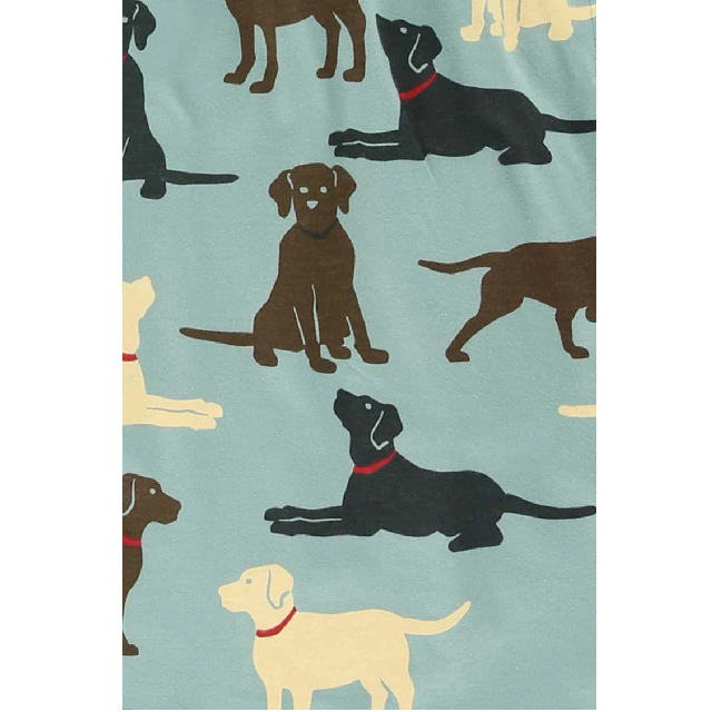 LazyOne Lab Men's Pajama Pants
