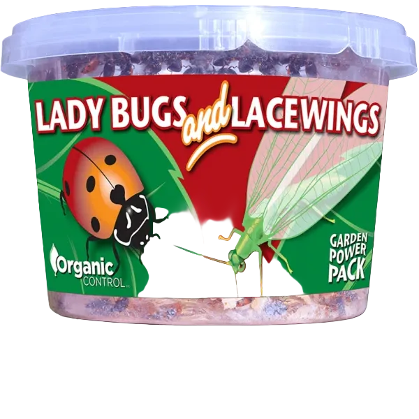Beneficial Insects Ladybugs & Lacewings Garden Power Pack Pest Solution - Organic Control