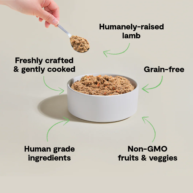 Open Farm Frozen Grain Free Gently Cooked Lamb 16oz