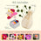 Lifelines FlowCrafts Paper Flower Bouquet Meditative Craft Kit