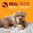 Nylabone Strong Chew Textured Ring Small